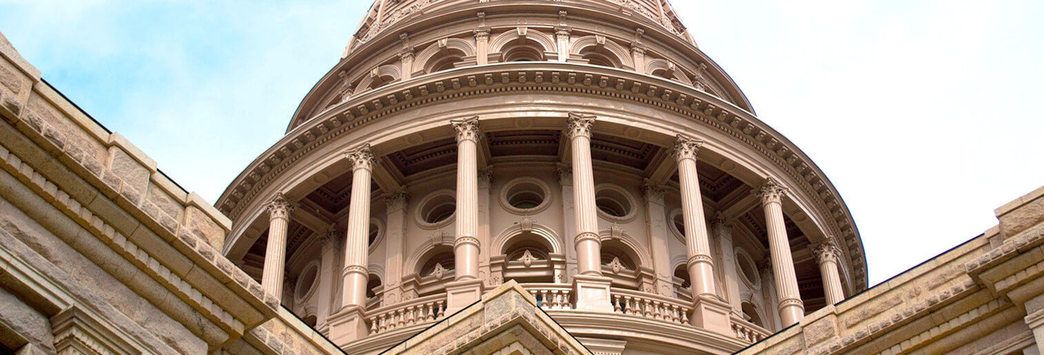 85th-texas-legislature-2017-popp-hutcheson